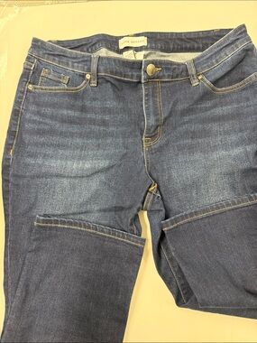 Lane Bryant Indigo Skinny Stretch Jeans for Women